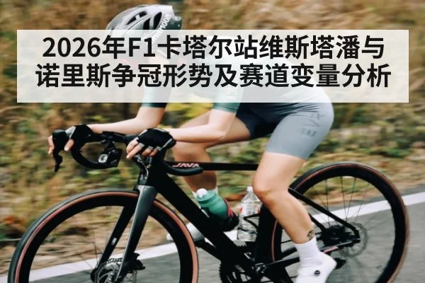 2026年F1卡塔尔站维斯塔潘与诺里斯争冠形势及赛道变量分析